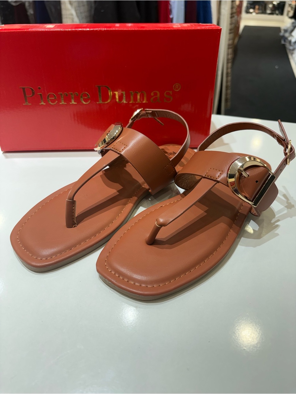 Pierre Dumas Brown/Tan Thong Sandals with Gold Accent Buckle